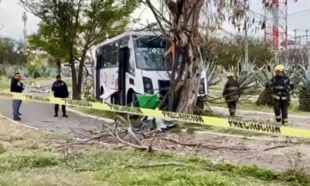 Transporte Qrobús se impacta contra árbol en Avenida del Parque