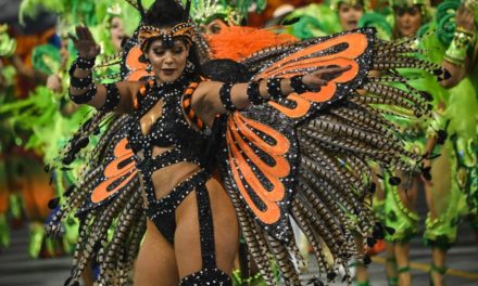 el carnaval de Río quiere proteger a las…