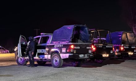Operativos en San Juan del Río y El Marqués arrojan 24 detenidos