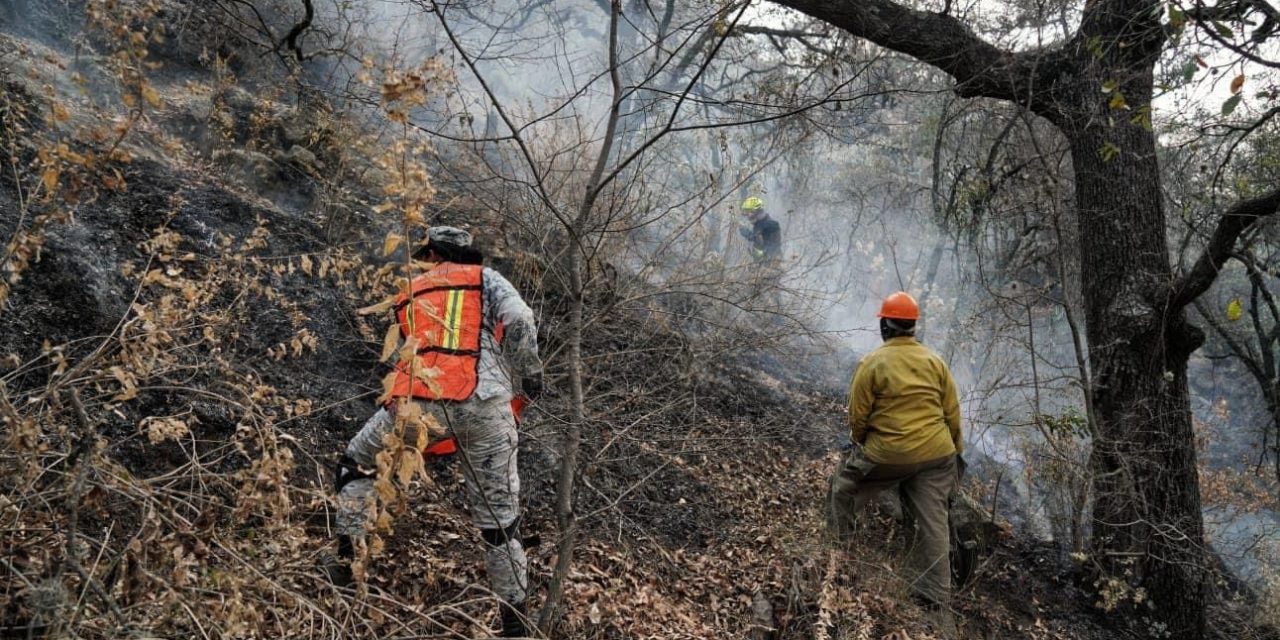 Incendio forestal en barranca de San Sebastián de las Barrancas S…