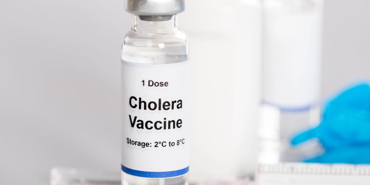 La OMS aprueba una vacuna simplificada contra el cólera frente a…