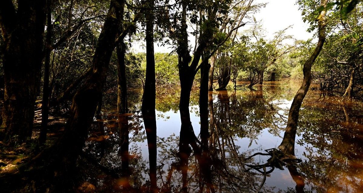 Cambio climático y deforestación amenazan al humedal mejor conser…