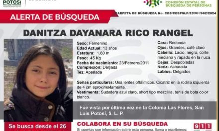 Solicitan Apoyo para Encontrar a Danitza Dayanara Rico Rangel, Desaparecida en Las Flores