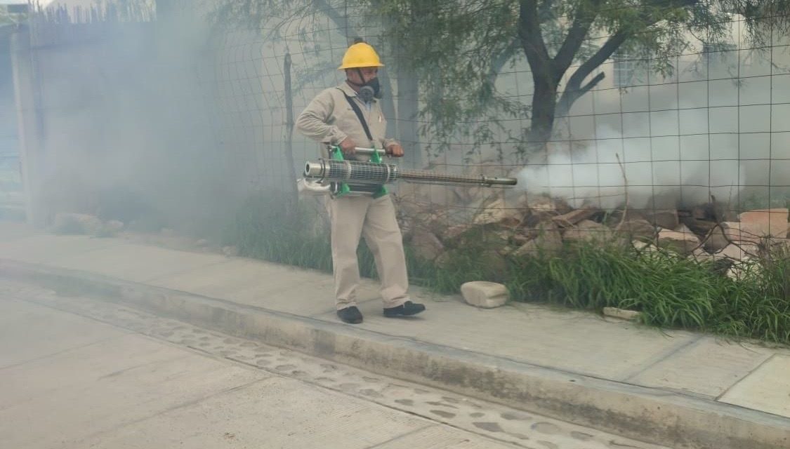 Aumentan casos de dengue en Querétaro: 139 infecciones confirmada…