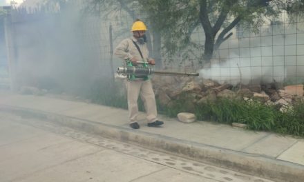 Aumentan casos de dengue en Querétaro: 139 infecciones confirmada…