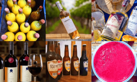 Tradición y Sabor: Las Bebidas Alcohólicas que Hacen Único a San Luis Potosí