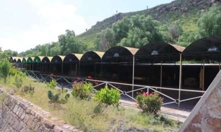 Comerciantes de la Presa San José podrían ser reubicados por seguridad